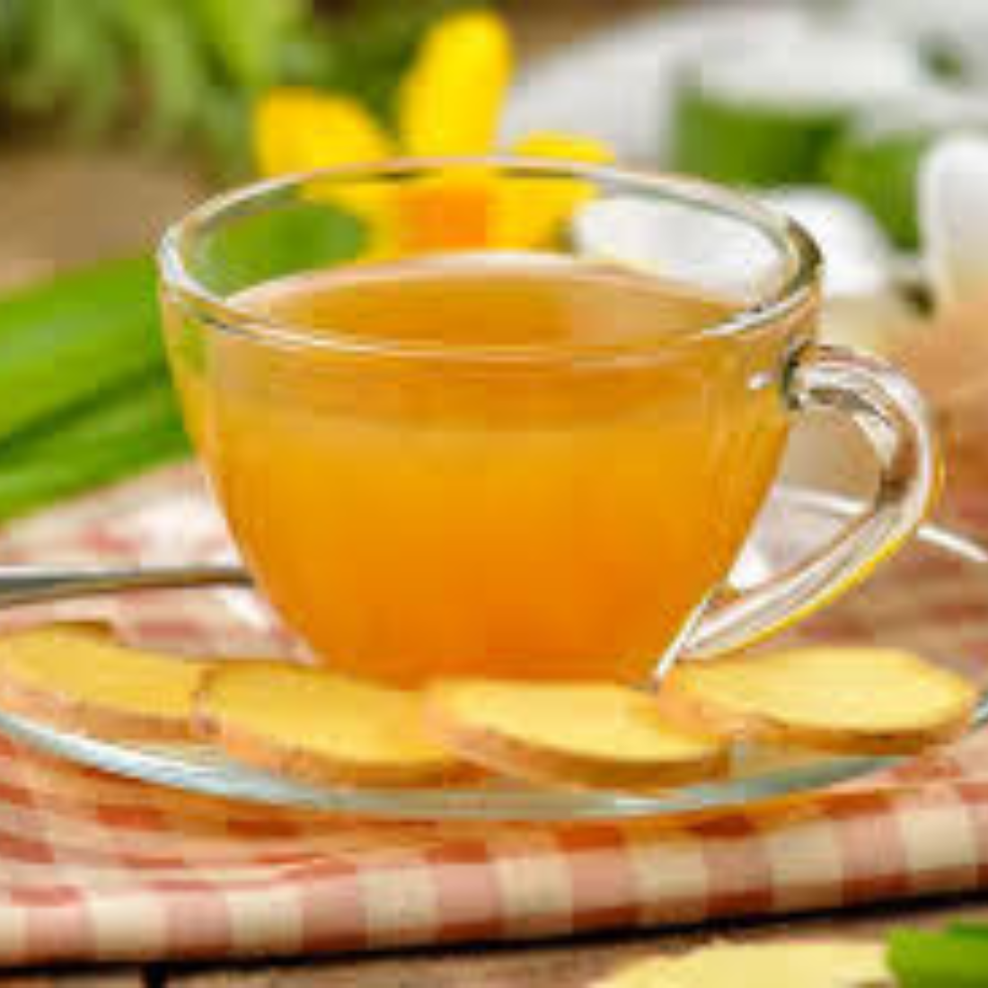 Jinjer Tea