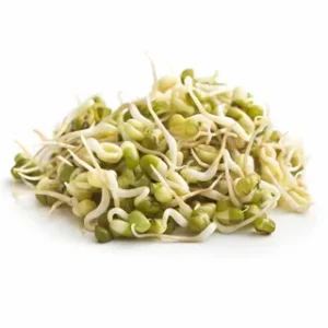 PLAIN SPROUTS