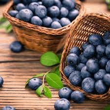 Blueberry (Box)